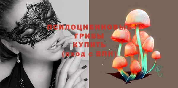 PSILOCYBIN Каменск-Шахтинский