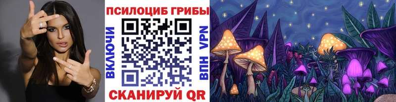 Псилоцибиновые грибы Psilocybe что такое наркотик Пятигорск