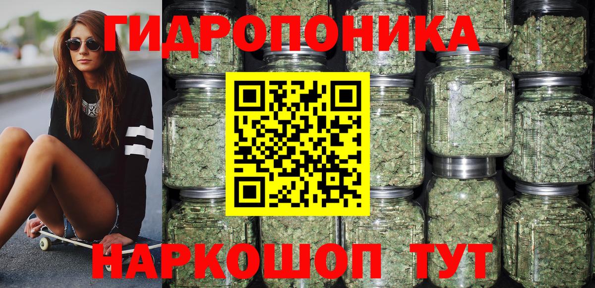 Конопля планчик Пятигорск